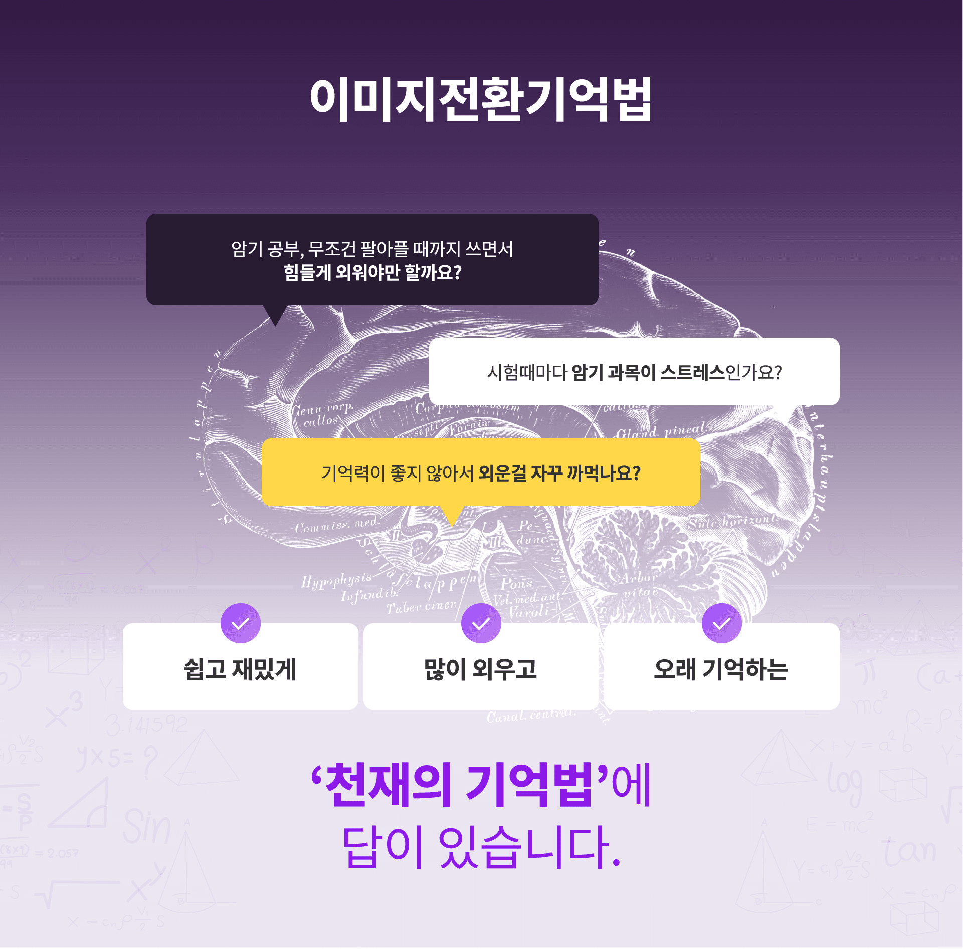 이미지전환기억법 뇌 그래픽